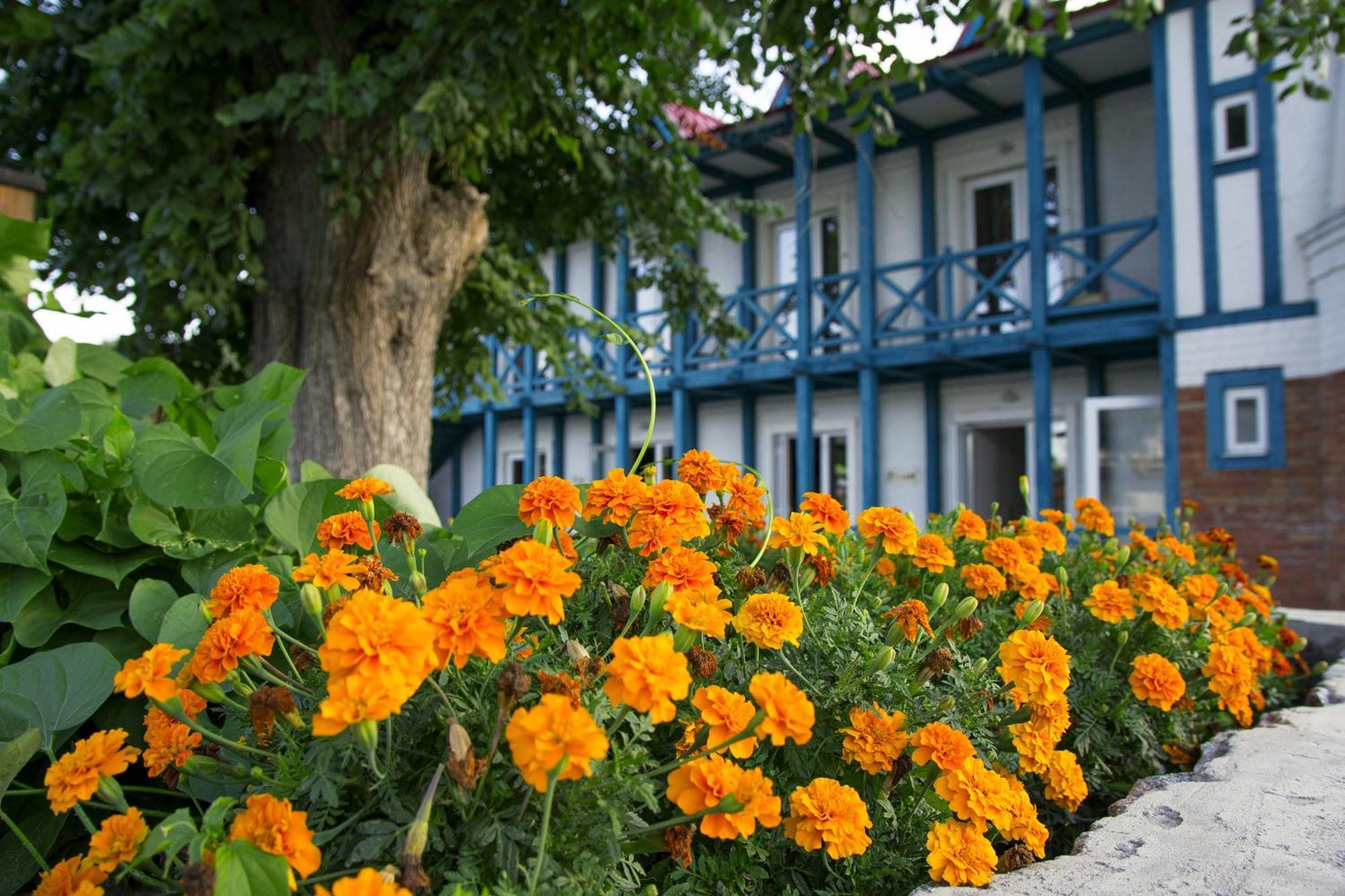 Mayak Resort Kam'yani Potoky Zewnętrze zdjęcie
